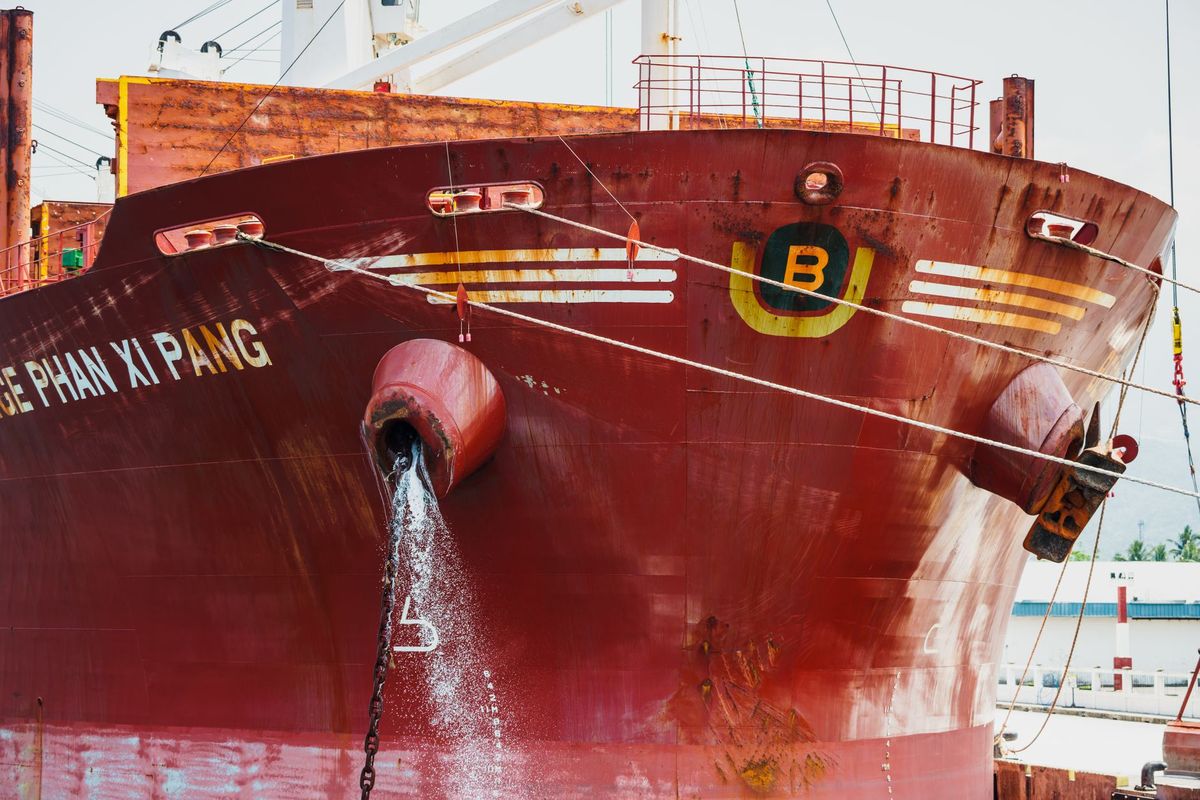 Stranded Hormuz ships could trigger global wave of biological invasions, study warns