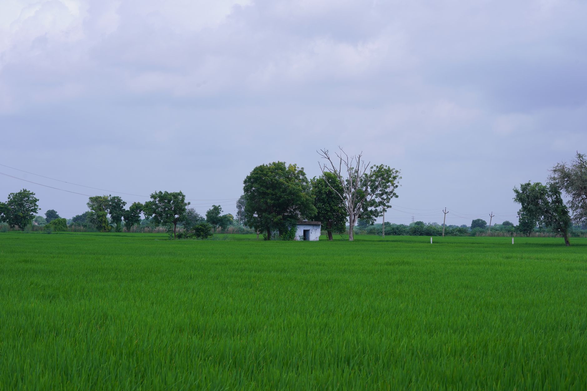 নগাঁও জিলাৰ ঝুমুৰমুৰ গাঁও পঞ্চায়তলৈ ৰাষ্ট্ৰীয় সন্মান...