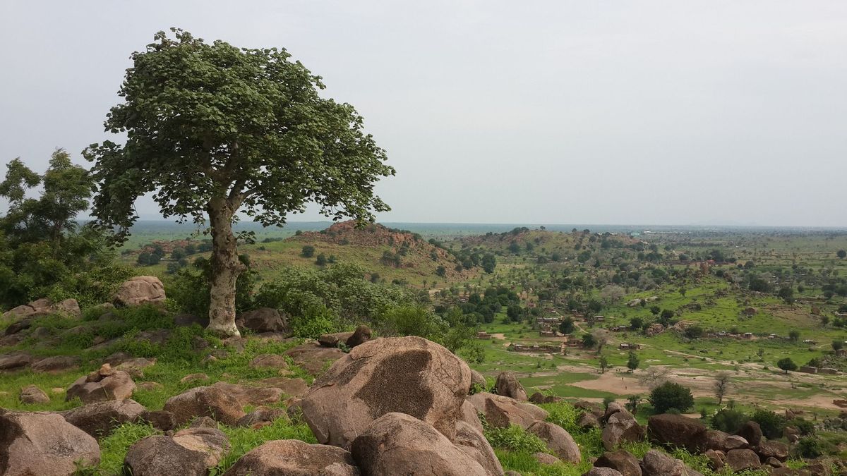 At least 60 killed in South Sudan cattle raid