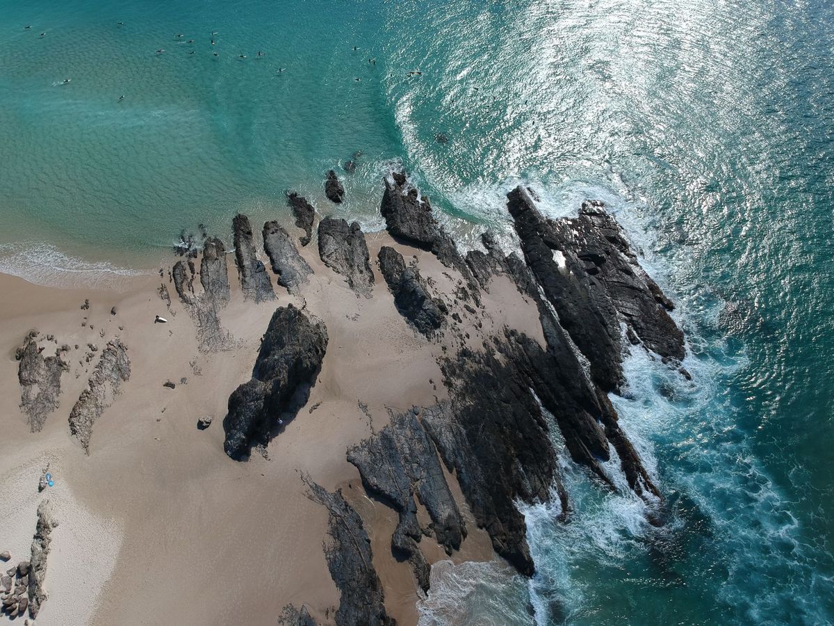 Australian shark attack victim grateful for 'second chance at life'