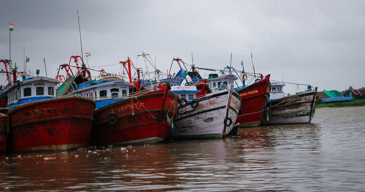 হোজাইৰ আকাশীগংগাত ৬কুইণ্টল থাইলেণ্ড মাগুৰ জব্দ...