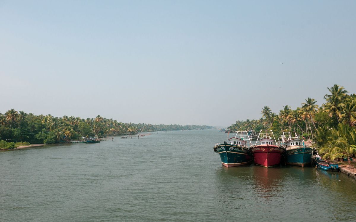 മരത്തടിയിൽനിന്നൊരു ശബ്ദം; ചാലിയാറിൽ പുലർച്ചെ മീൻപിടിക്കാനിറങ്ങിയ അർഷാദ് രക്ഷപ്പെടുത്തിയത് ഒരു ജീവൻ