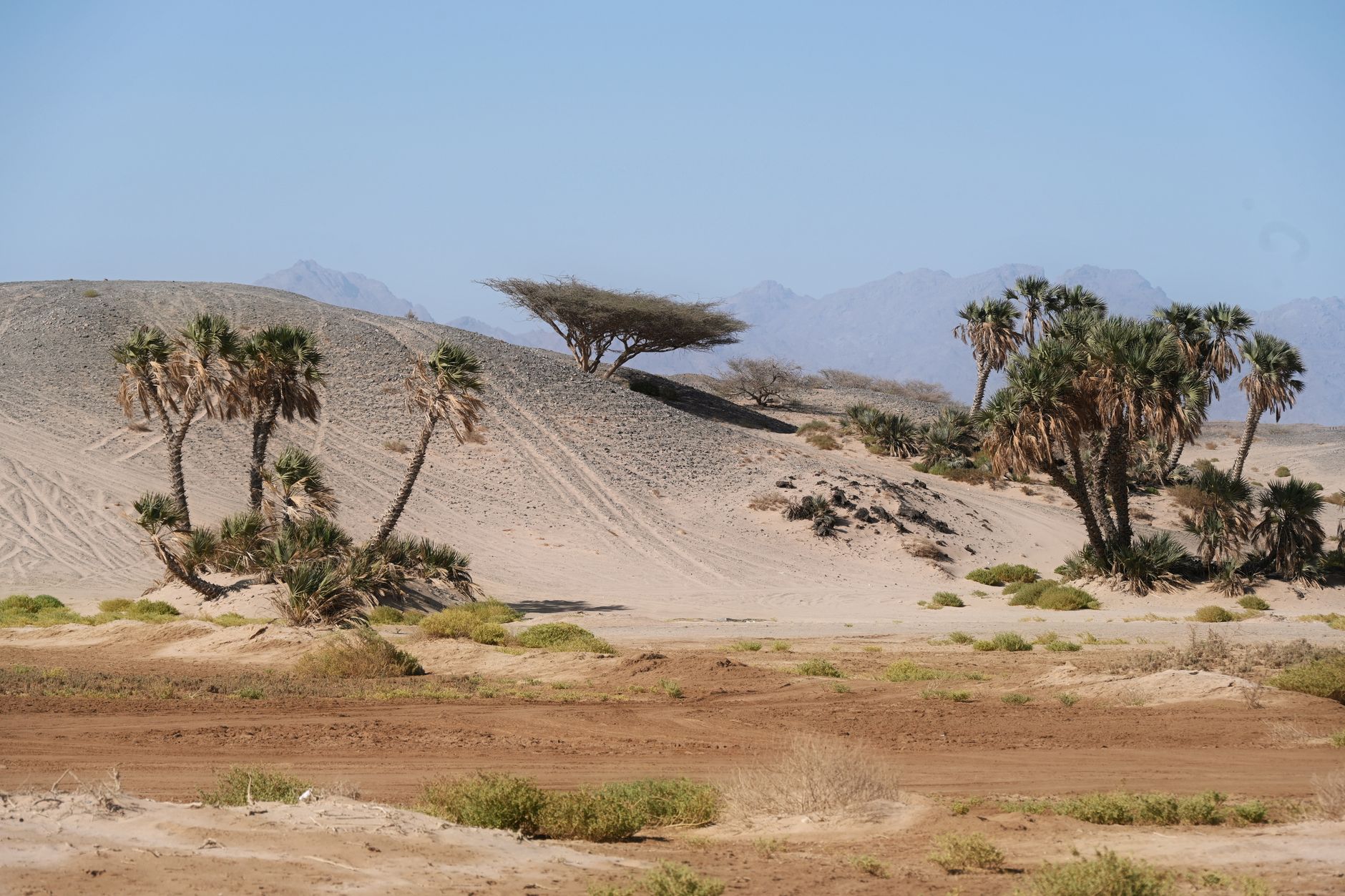 NCM warns El Niño likely to persist through early 2027