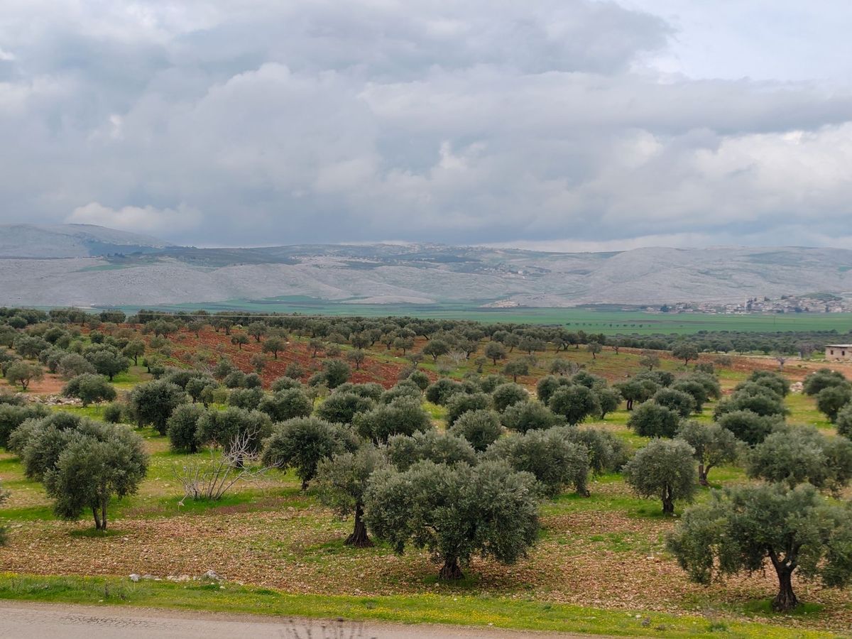 Israeli Occupation Forces Launch Fresh Offensive, Advance Into Southern Syria