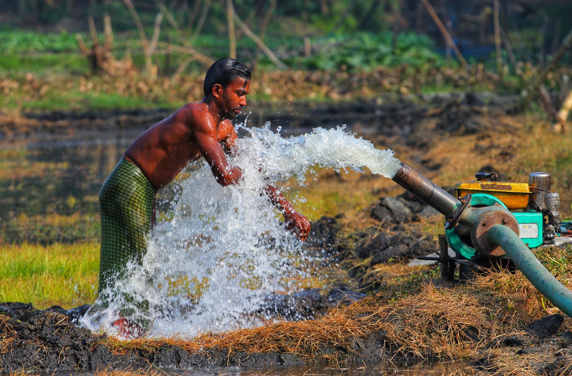வேளாண் பட்ஜெட்: இலவச மும்முனை மின்சார திட்டத்திற்கு ரூ.7,432 கோடி ஒதுக்கீடு!