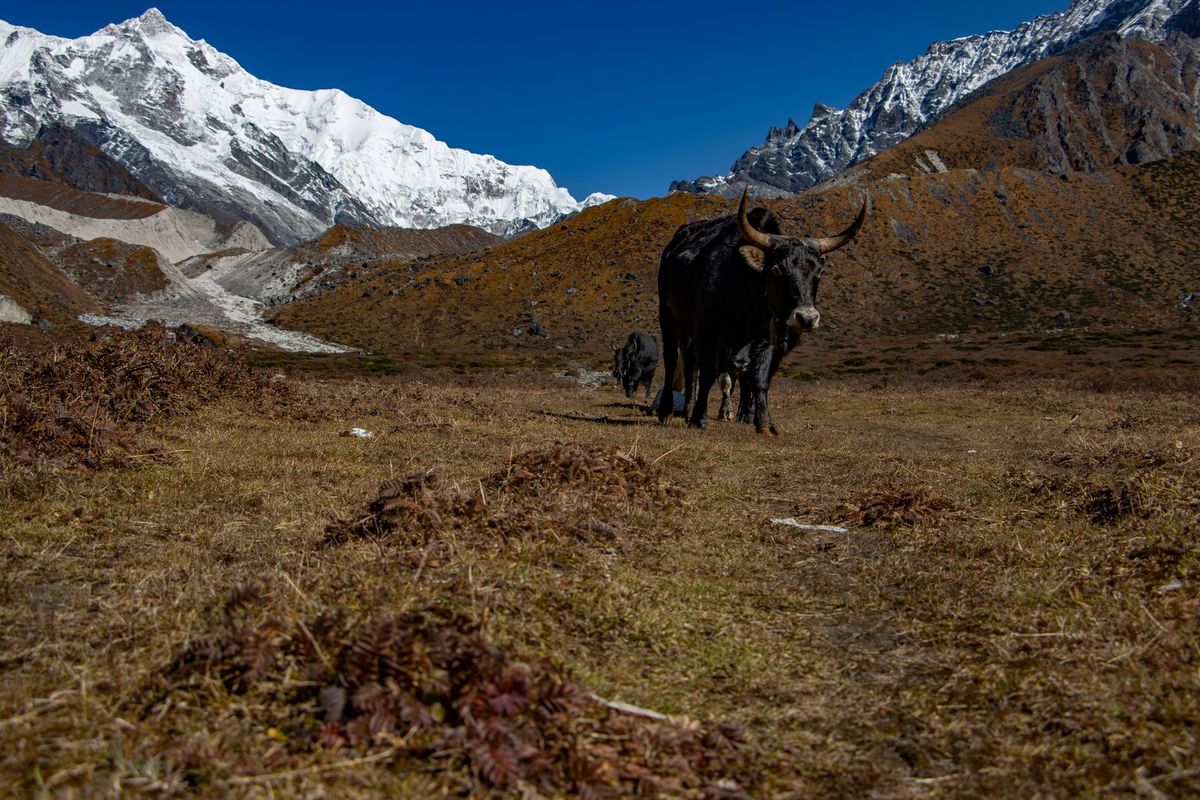 China may bypass Taiwan in 2027, turn focus to Northeast India - Here's Why