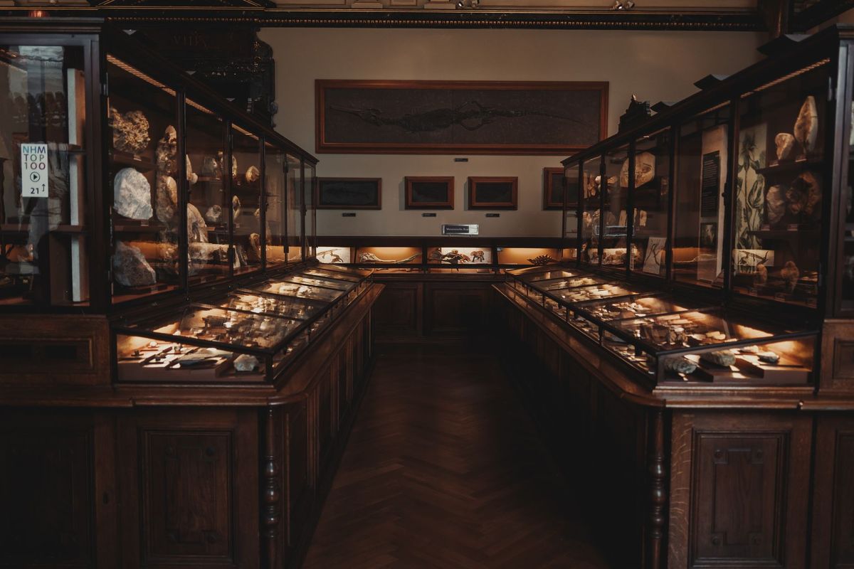 Thieves steal 600-diamond necklace from Vienna museum in broad daylight