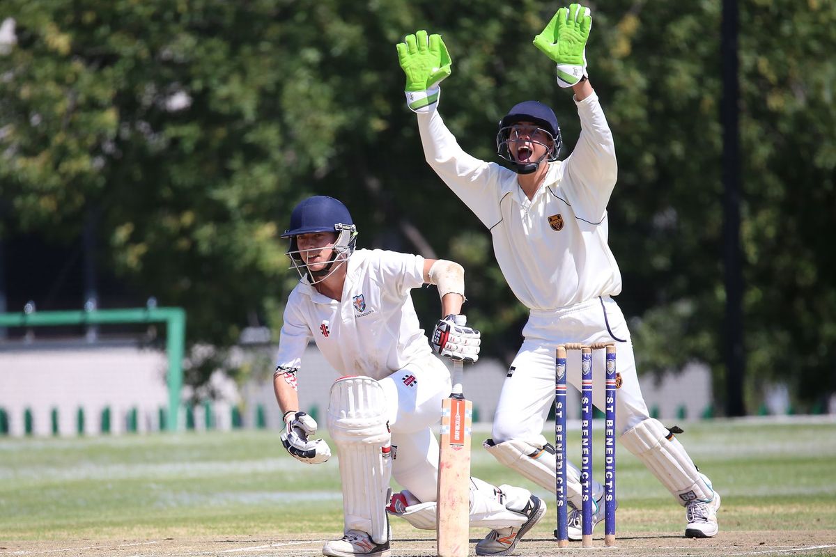 England seal 3-0 series win over Pakistan at Edgbaston