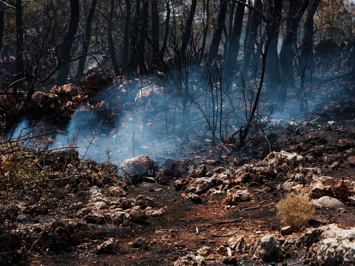 Dozens injured and thousands evacuated in Croatia wildfire