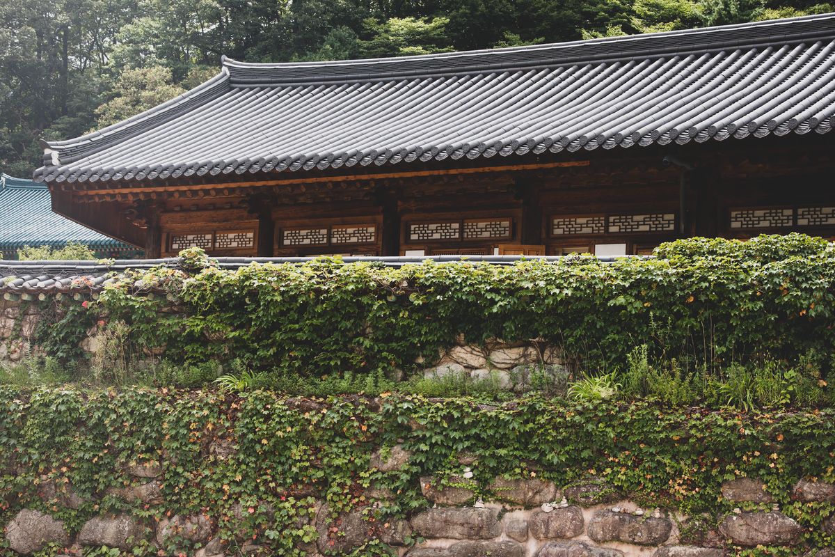 South Korea jails care home head for sexually assaulting disabled residents