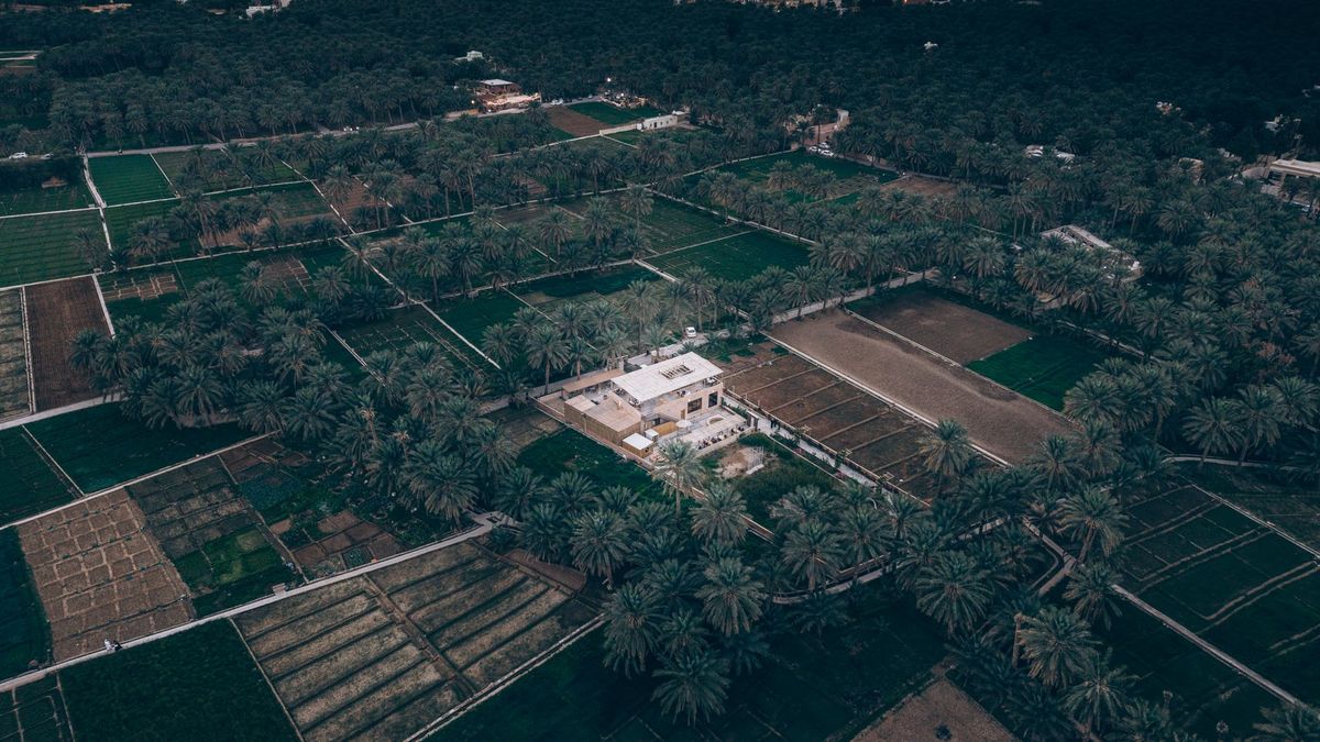 Ten agricultural usufruct contracts worth over OMR2 million signed in Dhofar