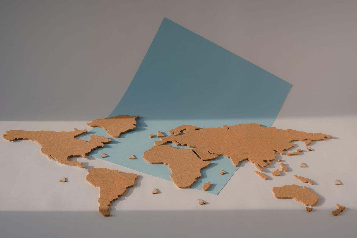 Size matters: Why India has a stake in the African-led campaign to decolonise world maps