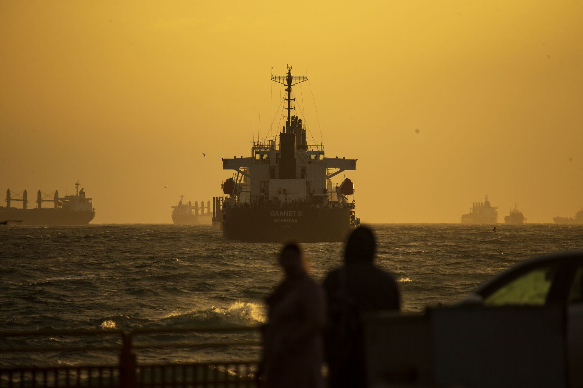 Shipping Ministry 'closely monitoring' six Indian vessels, 166 seafarers to ensure their well-being near Hormuz: MEA