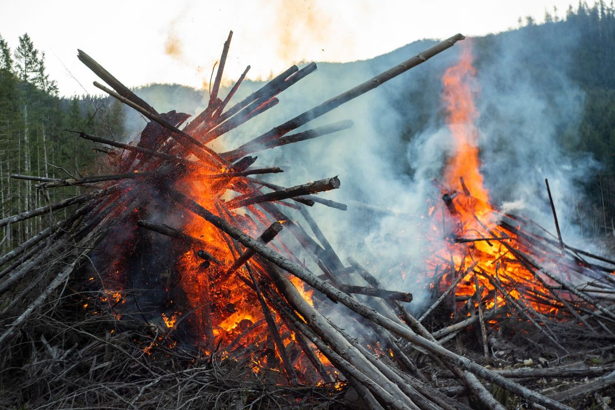 Octogenarian is first killed in British Columbia wildfire
