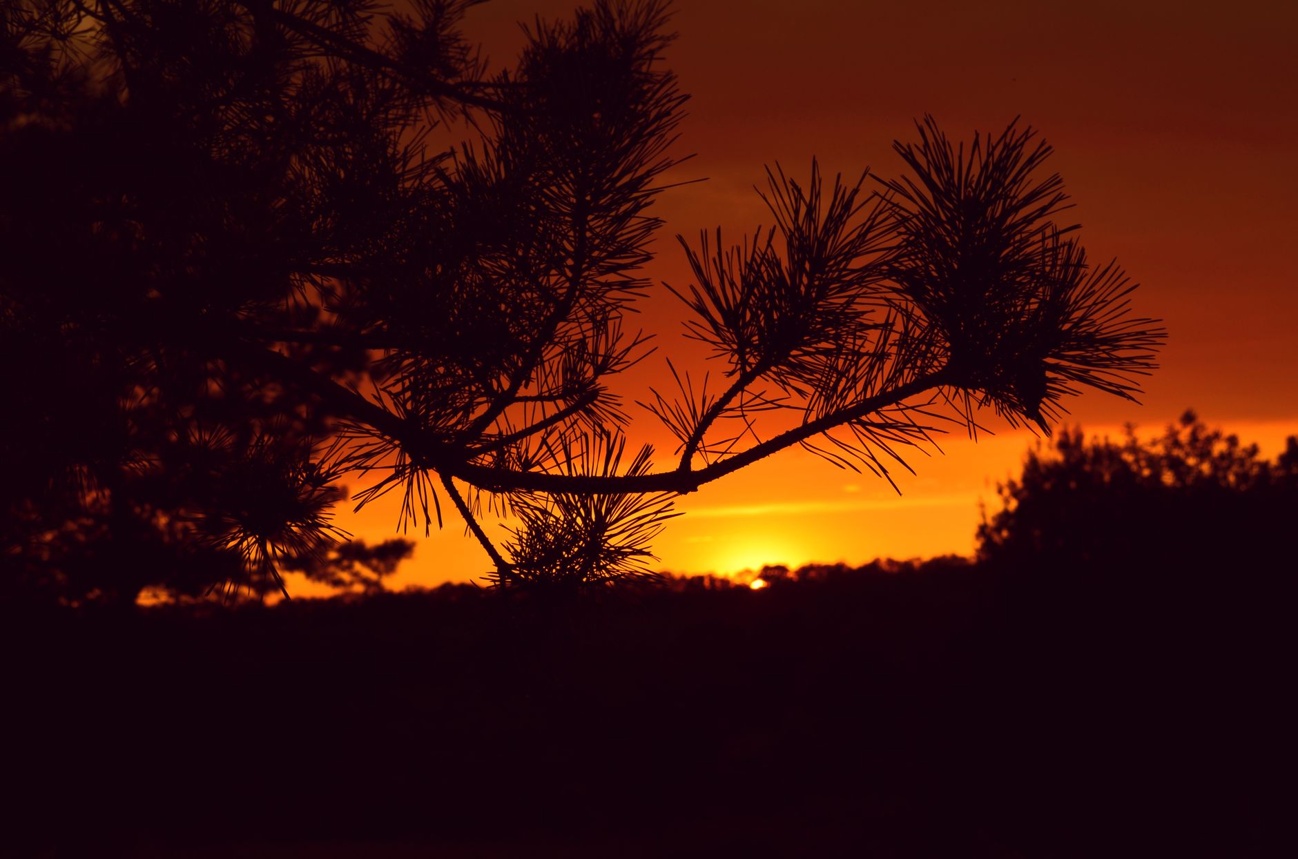 Summer Sunset: Share your sunset photos with Gulf News