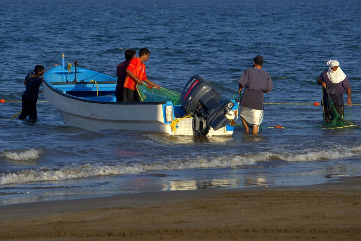 Oman announces two-month ban on kingfish trading and fishing