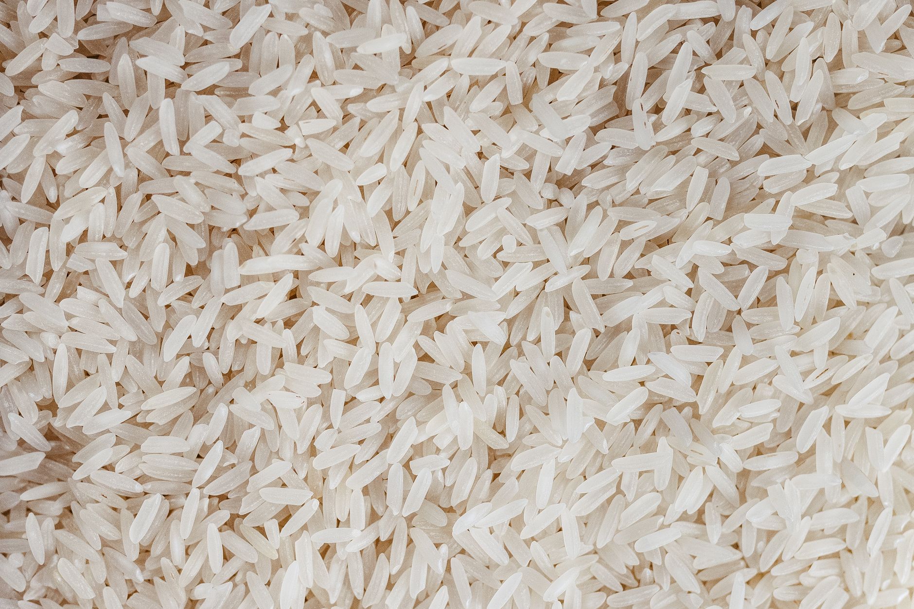 Low Rice Price: తక్కువ ధరకే బియ్యం అమ్మకాలు.. రేపటి నుంచే అందుబాటులోకి…