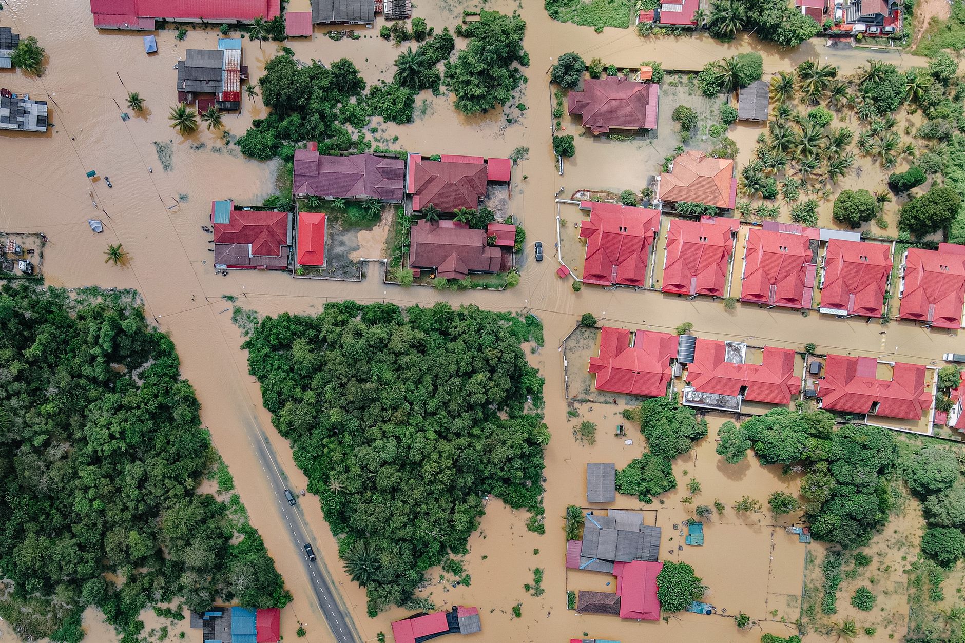 Flood In Bhadrak: ବନ୍ୟା ପରେ ଭଙ୍ଗା ଘରେ ଆଶ୍ରୟ ଖୋଜୁଛି ଅସହାୟ ମଣିଷ