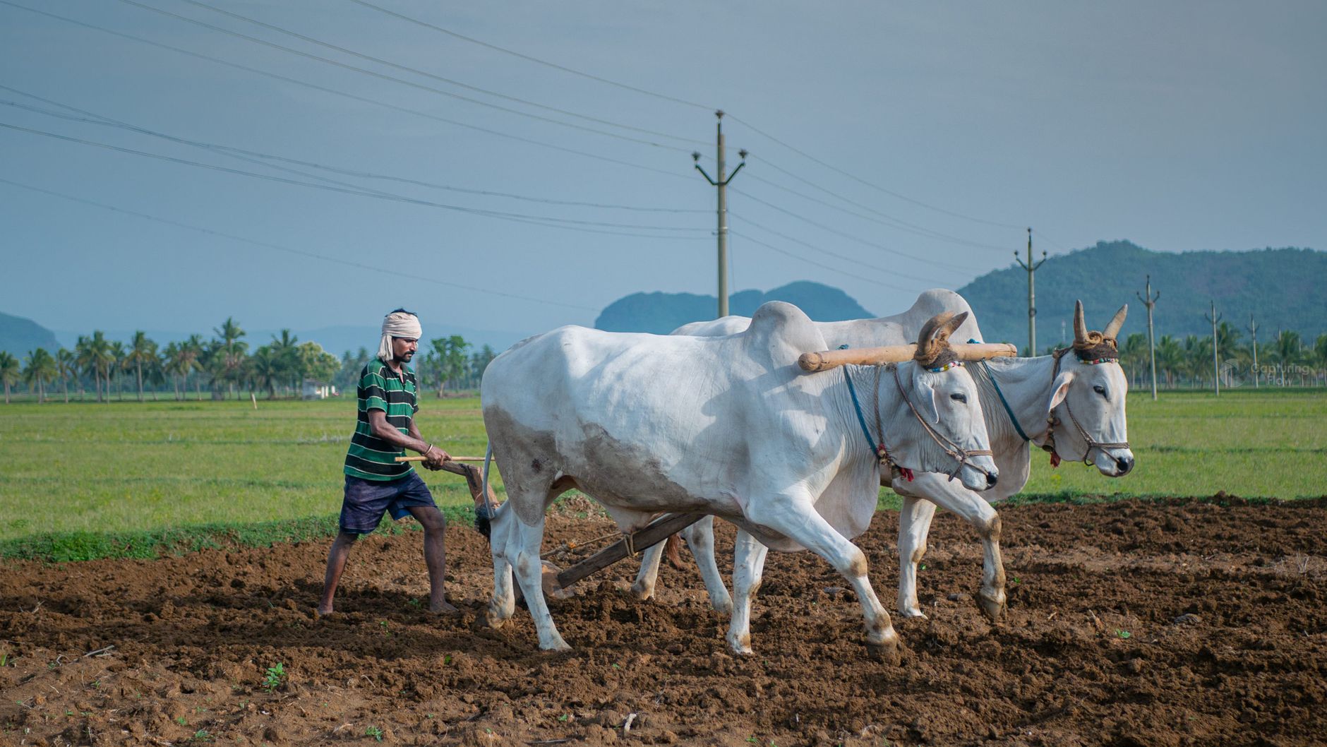 TN Agri Budget 2026 | பட்ஜெட்டில் அடி தூள் அறிவிப்புகள்.. விவசாயிகளுக்கு உற்சாக சேதி