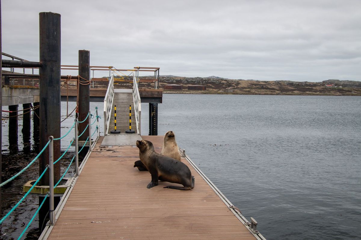 Argentina ups the ante as Falkland Islands issue gains fresh attention
