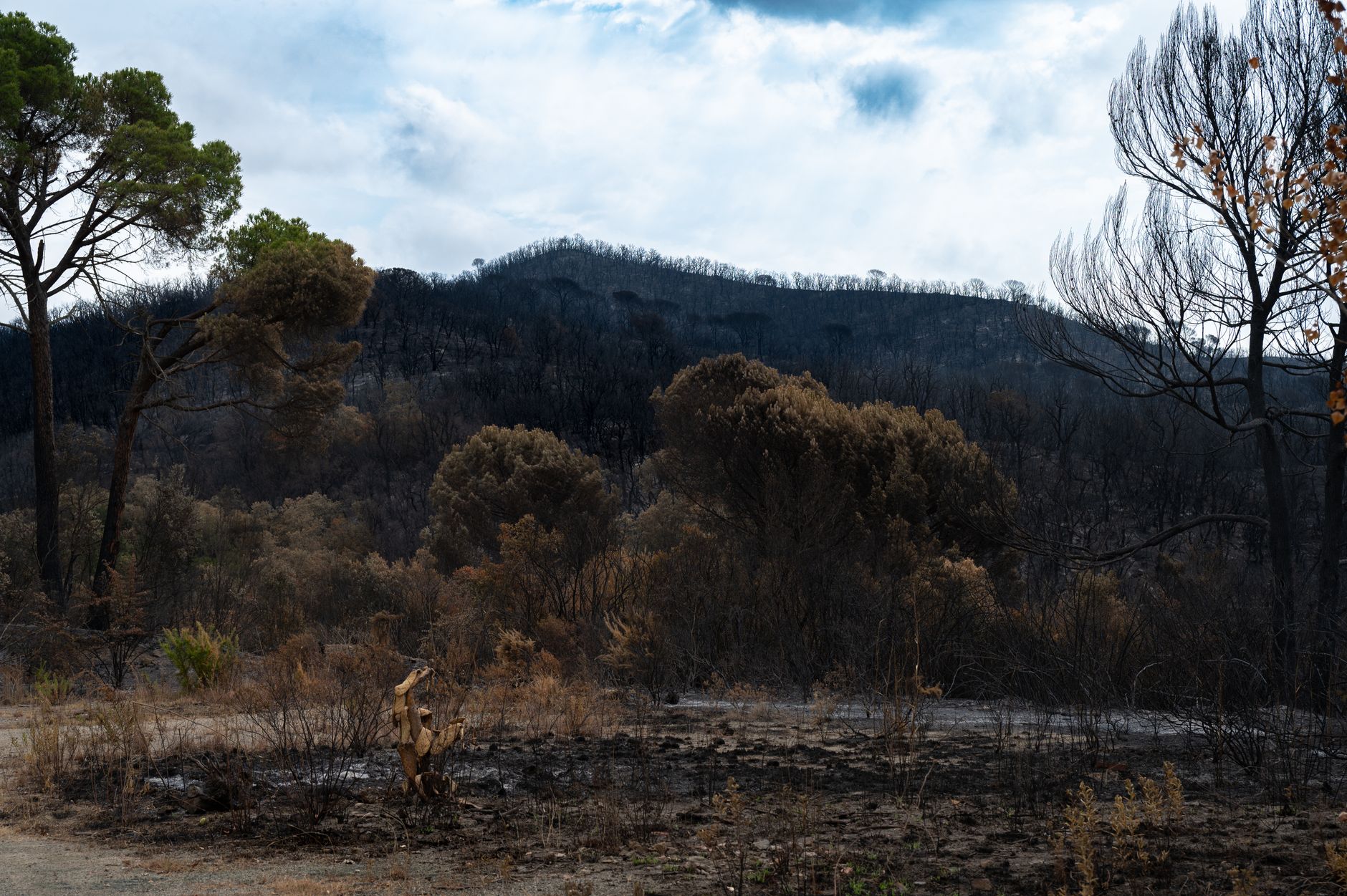 Is it safe to travel to France or Spain as wildfires spread? What tourists need to know