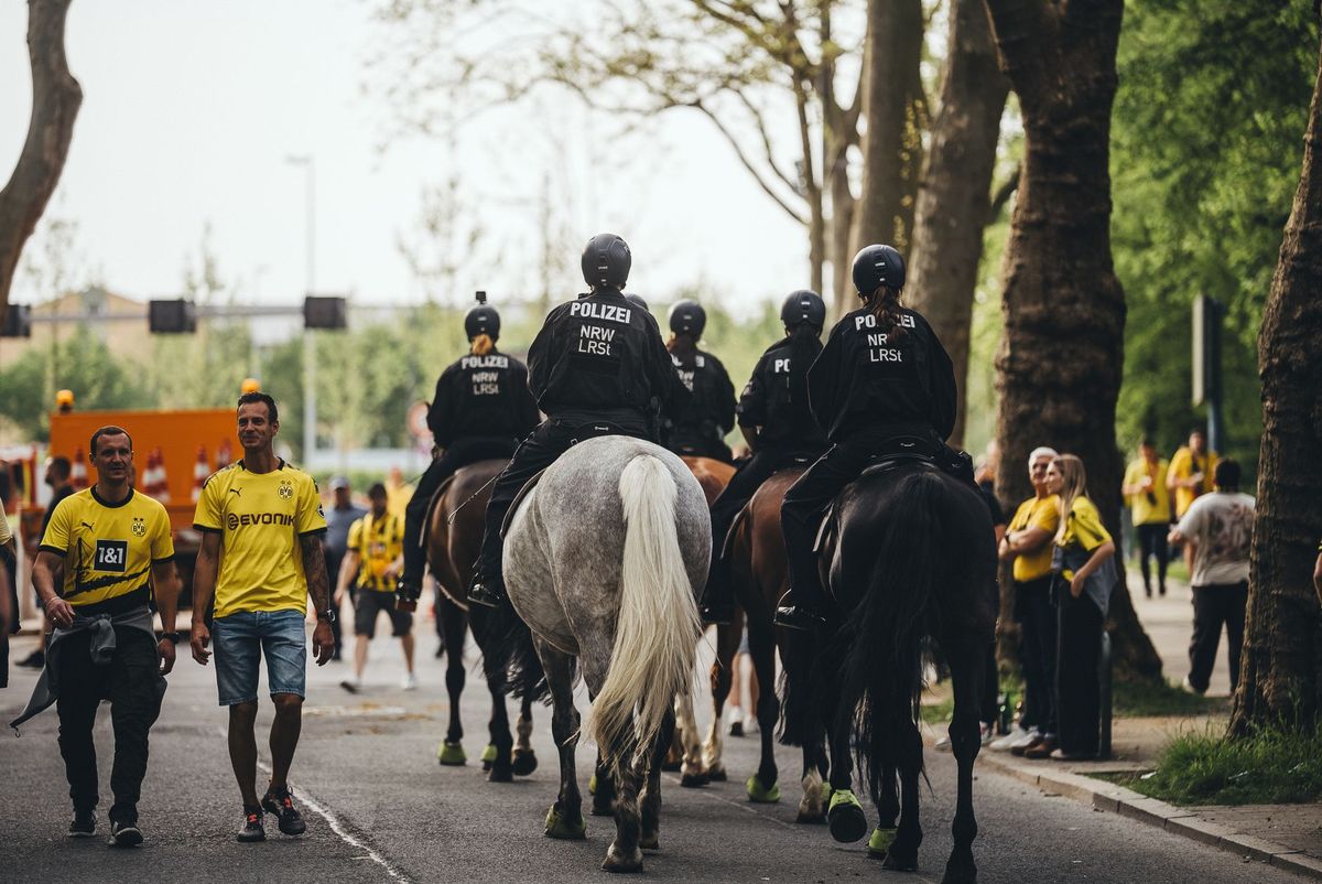 Dubai Police launches stadium safety campaign ahead of ADNOC Pro League season