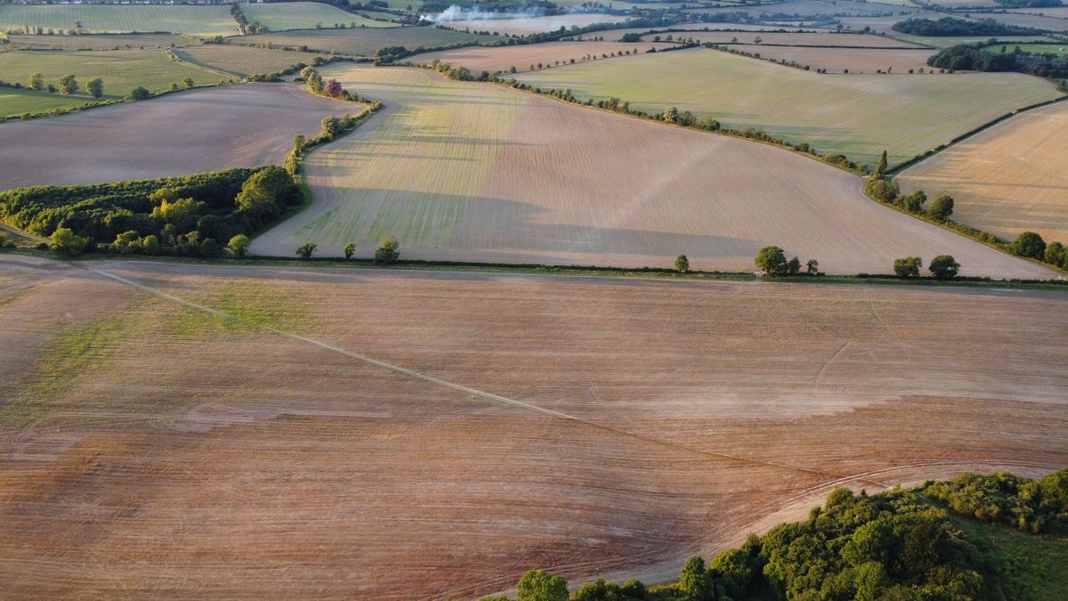 UK ‘on course’ to record warmest summer
