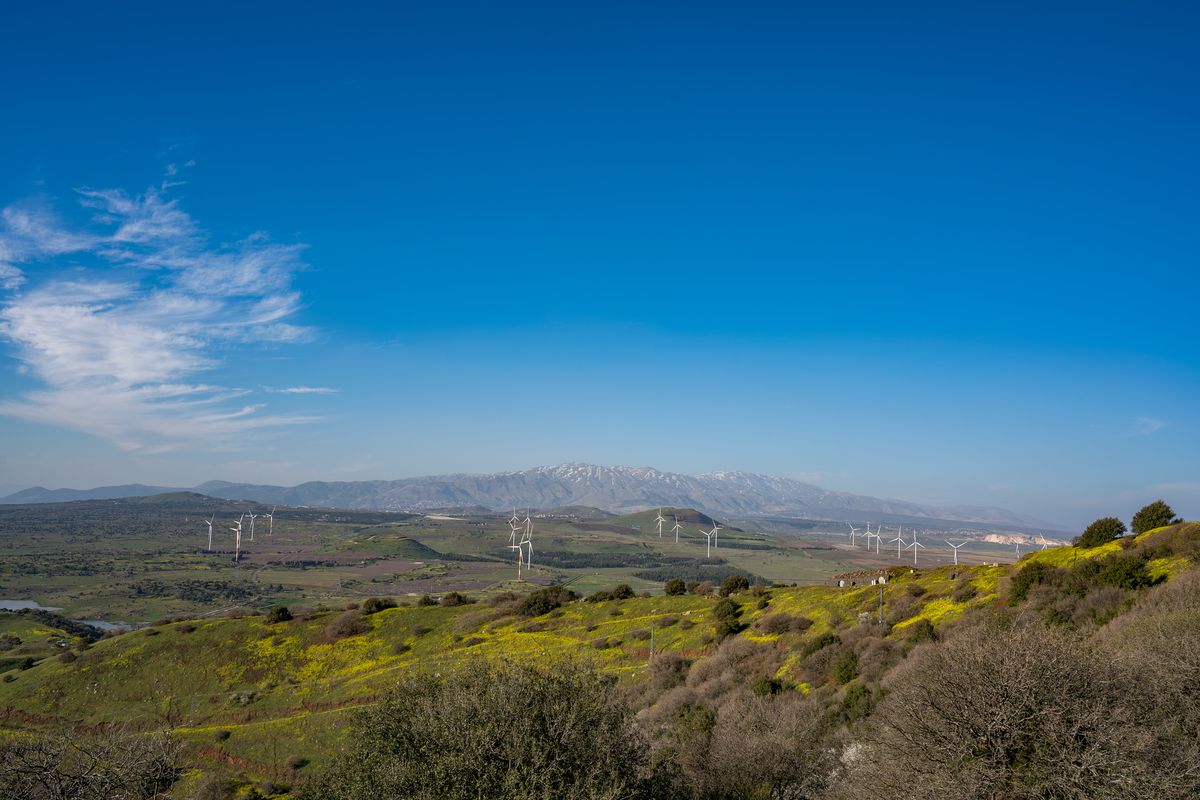 Muslim World League Condemns Colombia’s Recognition of Israeli Sovereignty over Golan