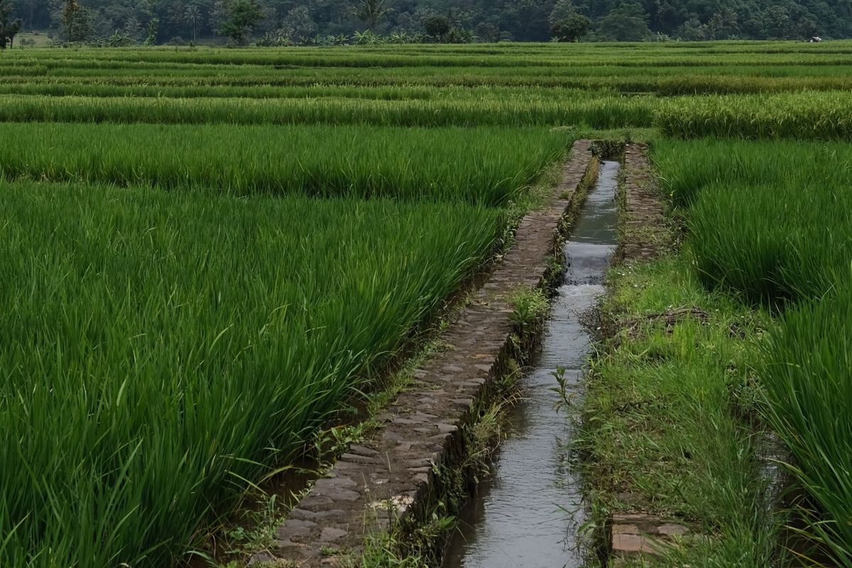 Odisha Cabinet approves Rs 389 crore to revive 680 Minor Irrigation Projects
