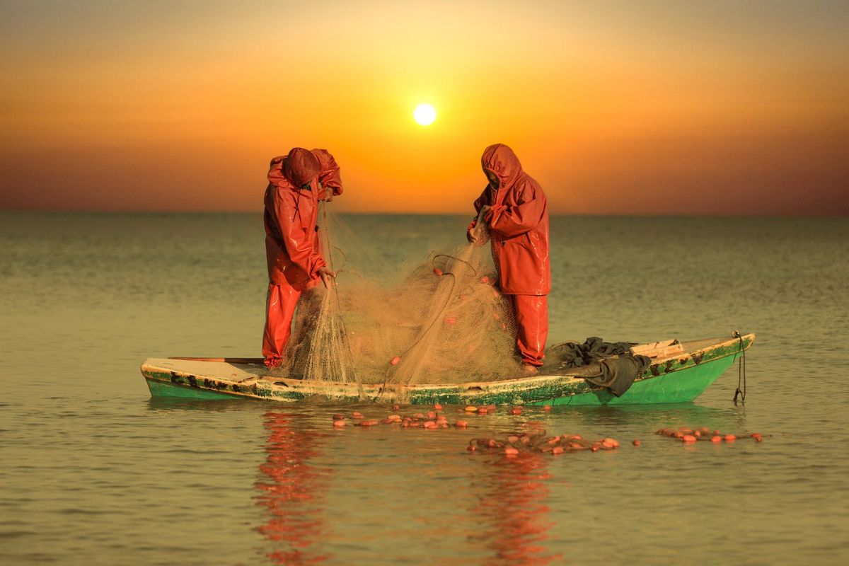 Three Fishermen Injured by Israeli Occupation Fire Amid Continued Gaza Shelling