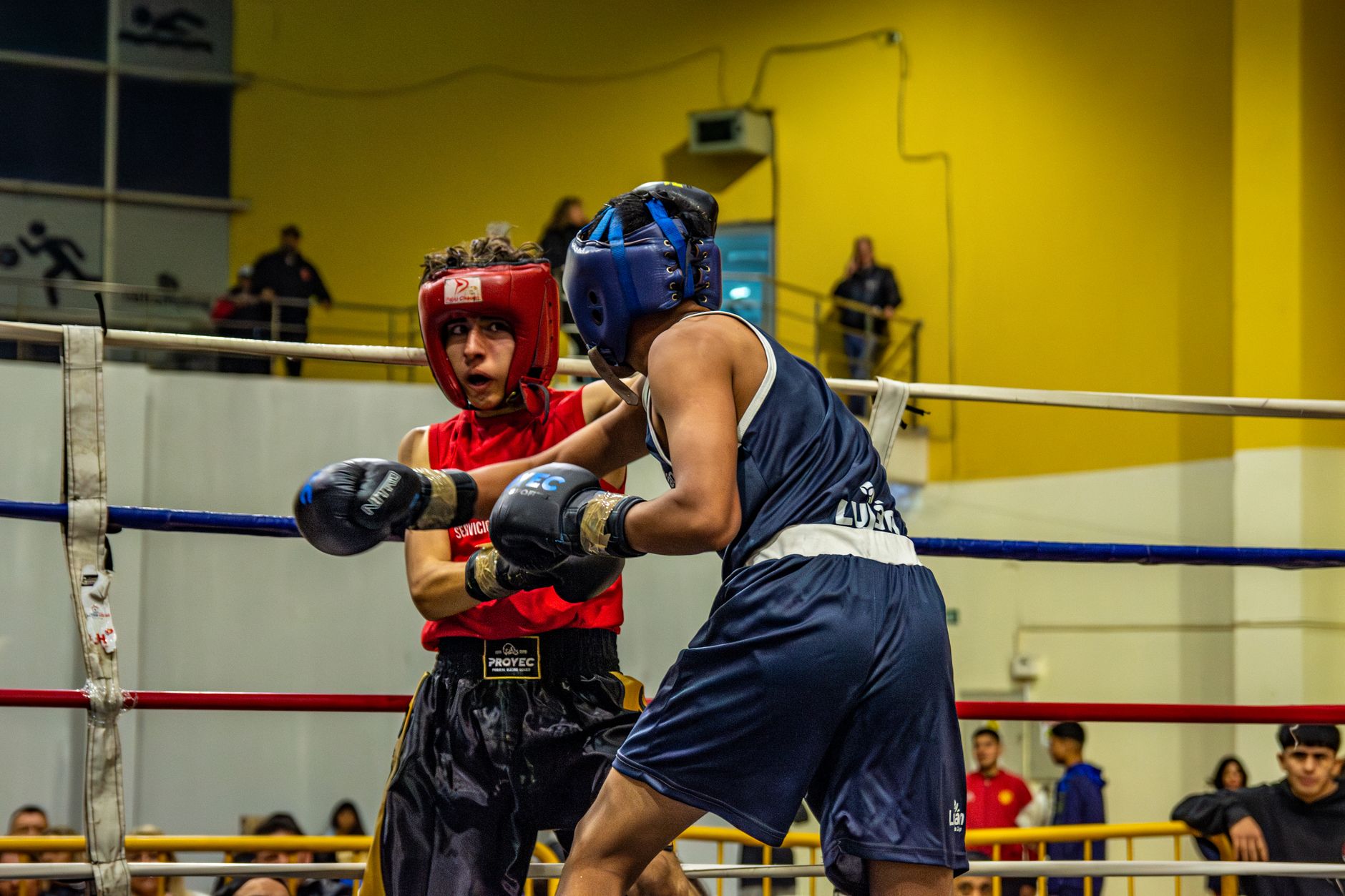 Narender Berwal Claims Silver As Indian Boxers Record Best Ever Finish At Commonwealth Games