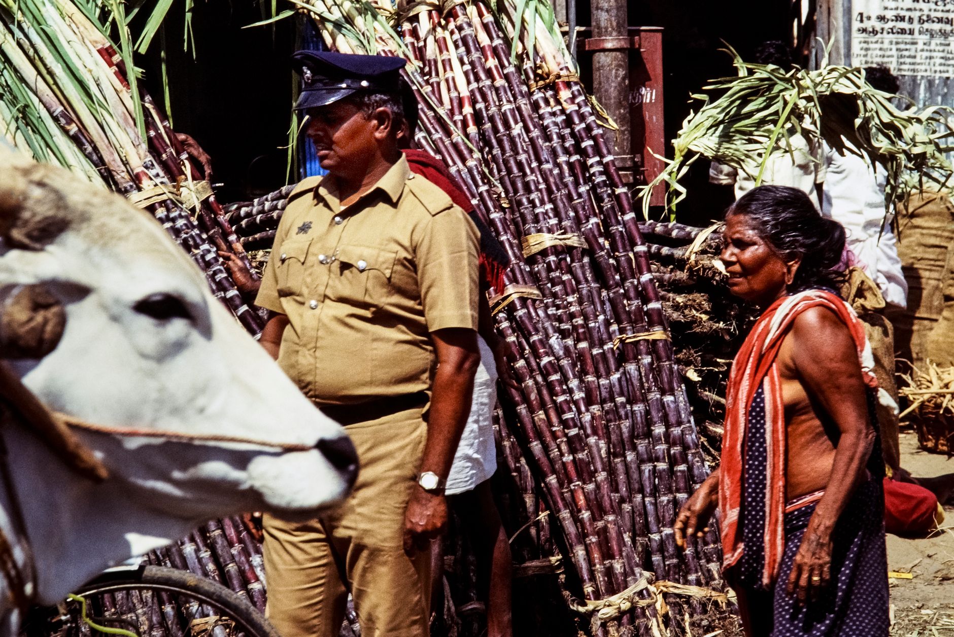 ನಕಲಿ ಕೀಟನಾಶಕಗಳನ್ನು ತಯಾರಿಸಿ ಮಾರುತ್ತಿದ್ದ ನಕಲಿ ಬೆಳೆತಜ್ಞನ ಬಂಧನ
