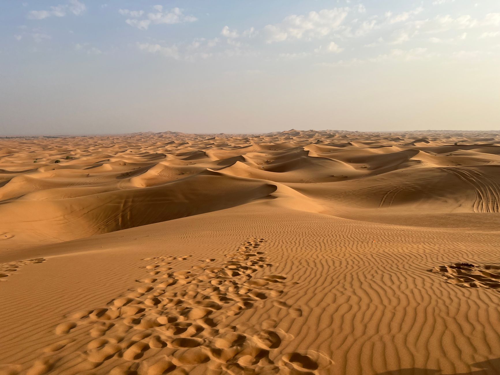 UAE records highest temperature of 51.2°C amid peak summer heat