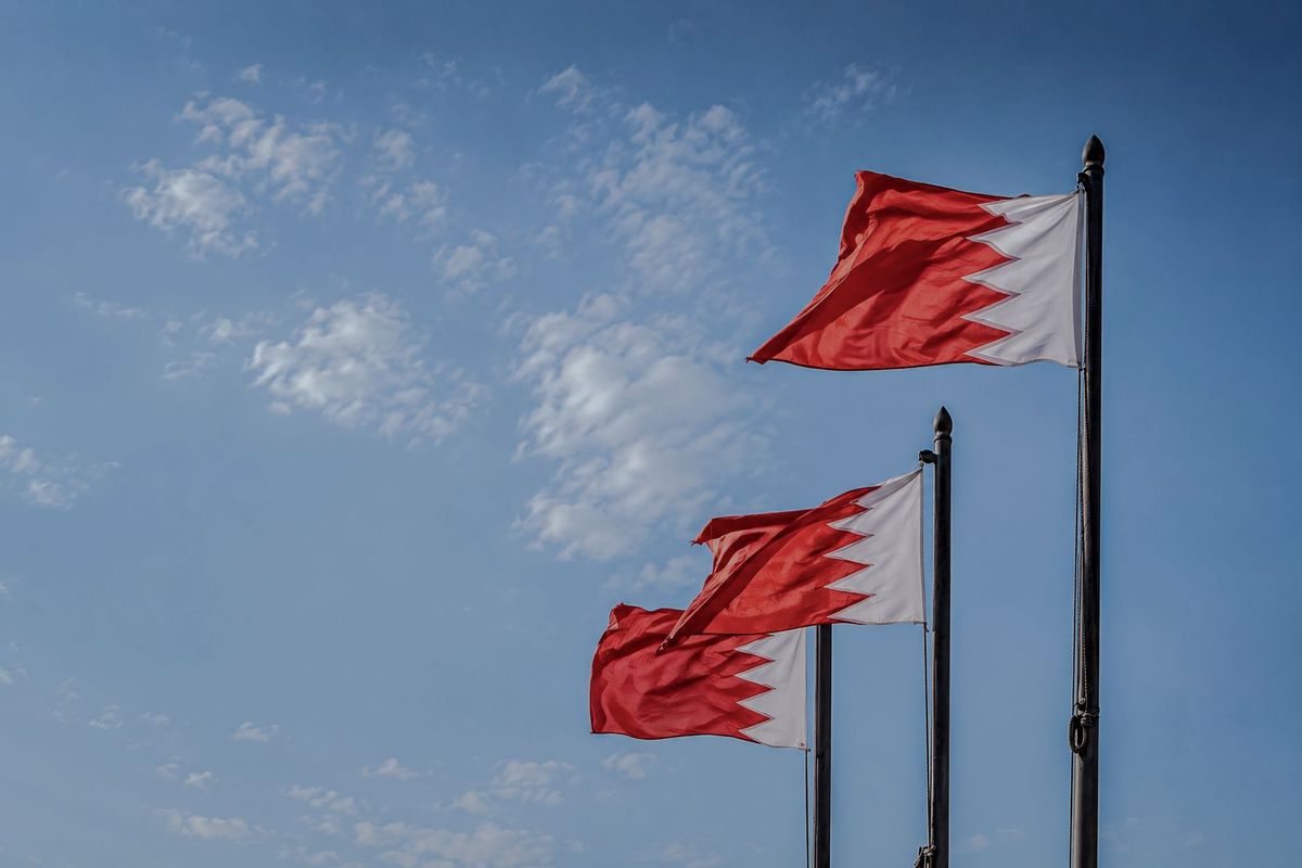 Egyptian, Bahraini Foreign Ministers Discuss Regional Developments