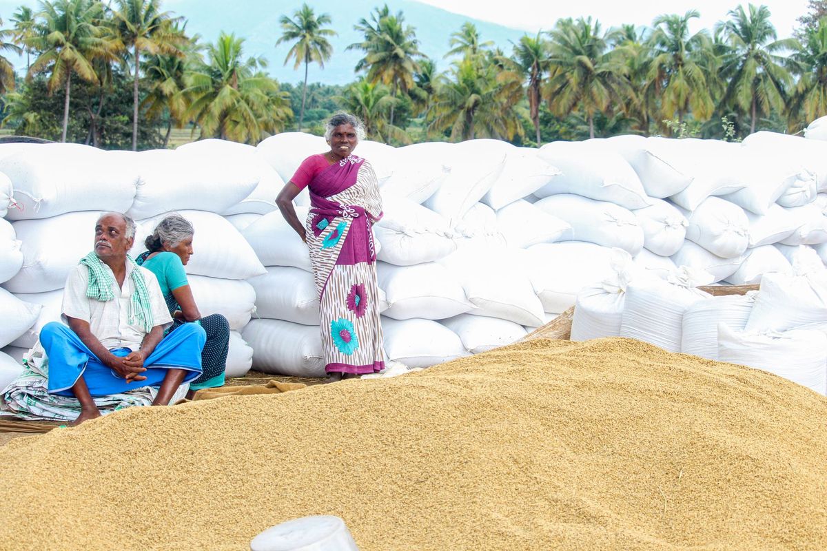 மோட்டா ரக நெல்லுக்கான ஊக்கத்தொகையை உயர்த்திட வேண்டும்: விவசாயிகள் சங்கம் கோரிக்கை