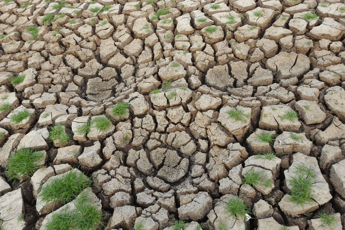 El Niño set to be 'strongest in living memory', says Met Office
