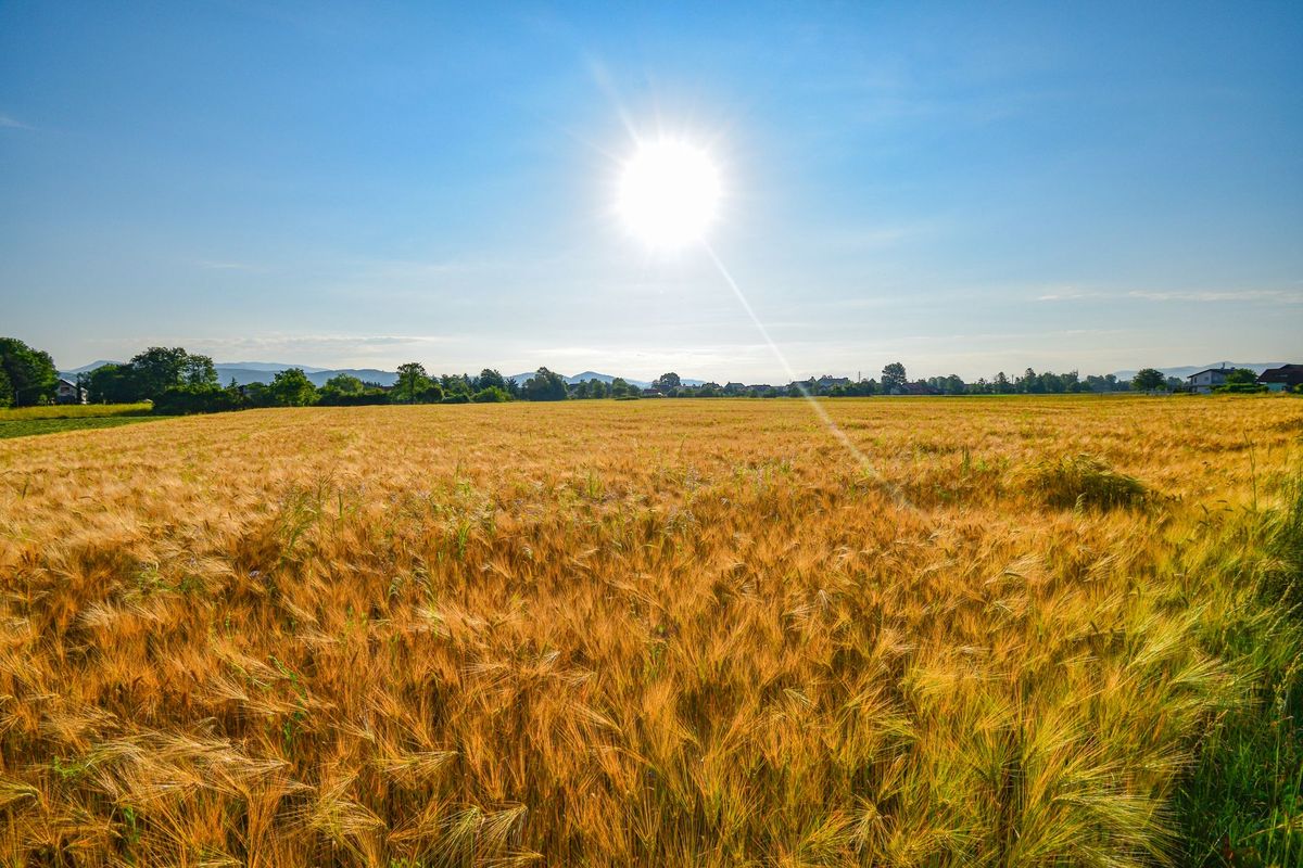 Millions of Europeans struggle with another wave of extreme heat