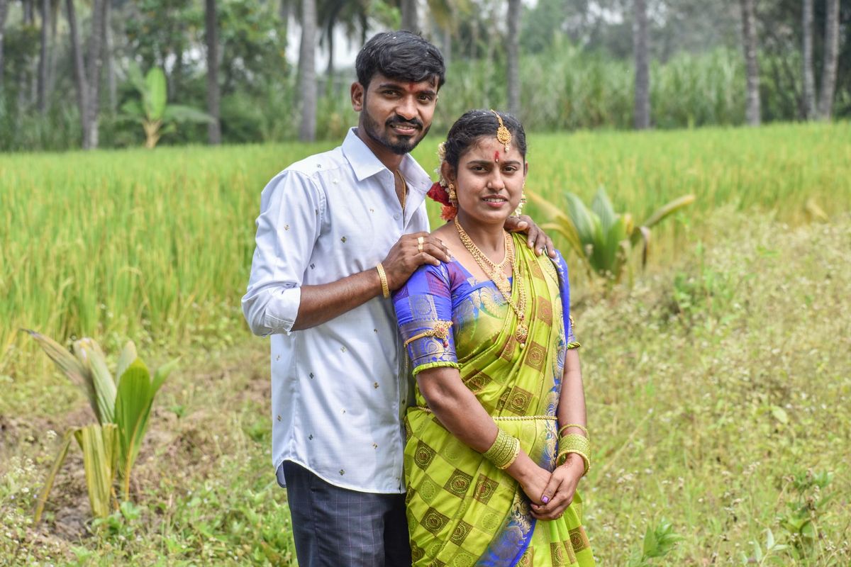 மாலை நேர மழையால் நெற்பயிர்கள் மழைநீரில் மூழ்கி சேதம்.
