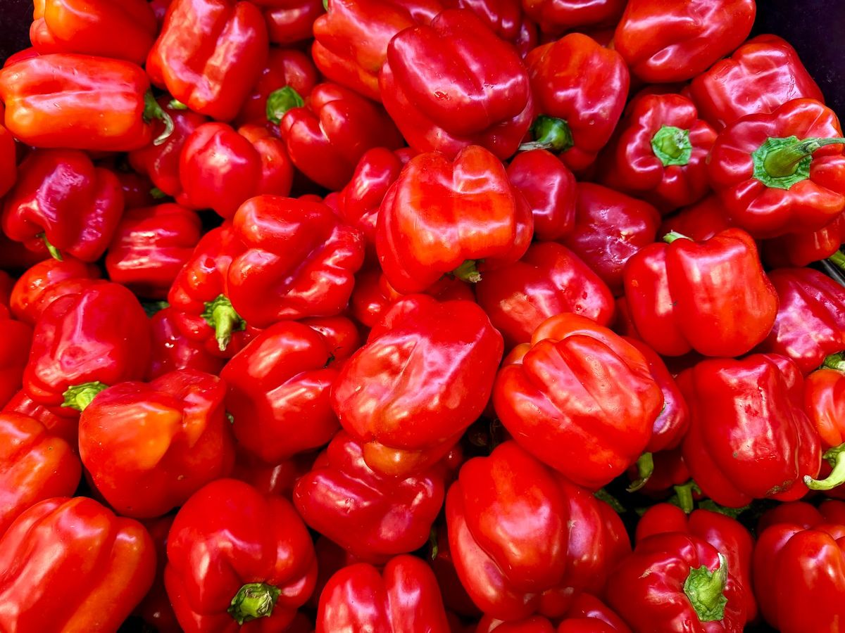 Red Capsicum Nutrition: लाल शिमला मिरची... फक्त दिसायला नाही तर आरोग्यासाठी देखील आहे सुंदर!