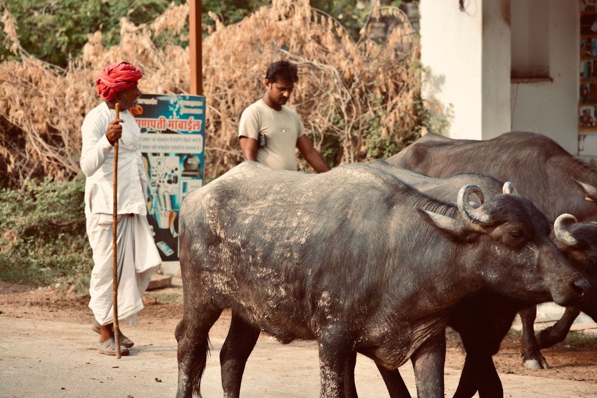 தமிழகத்துக்கு தண்ணீர் திறக்க எதிர்ப்பு! போராட்டத்துக்கு அழைத்த அமைப்பு.. கைகொடுக்காத கன்னட மக்கள்!