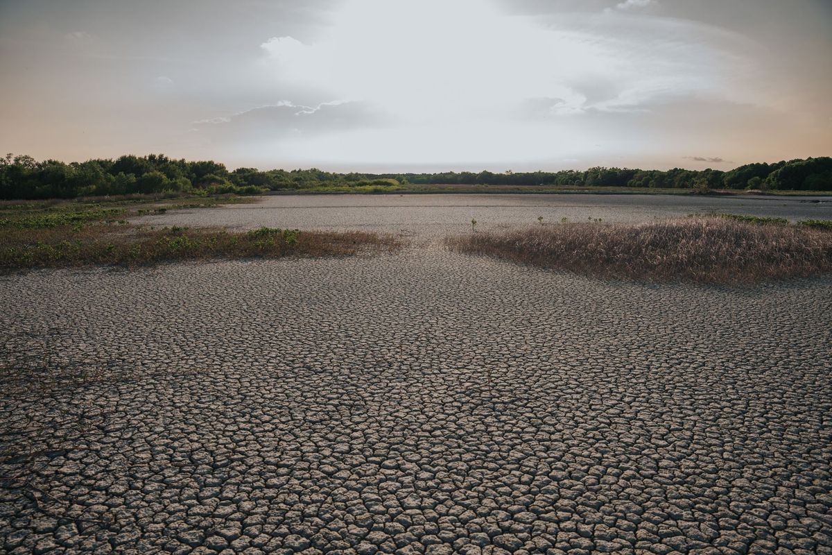 Americans Just Endured the Hottest Month in 132 Years
