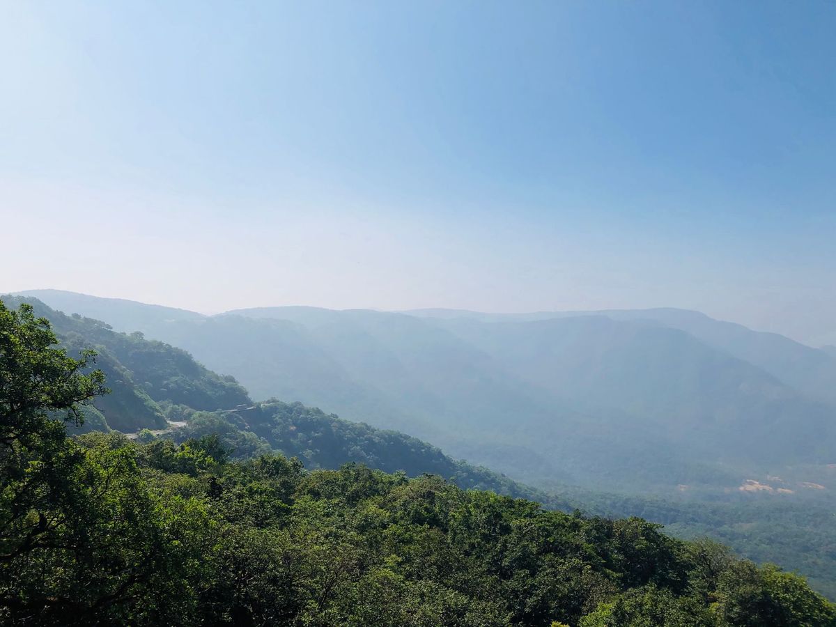 ಕಾಡಿನ ಕತ್ತಲಲ್ಲಿ ಅರಳಿದ ಪ್ರೀತಿಯ ನೆನಪು – `ಅಮಲೇ’ರಿಸಿತ್ತು ಅವಳ ಕೆಂದುಟಿಯ ನಗು!